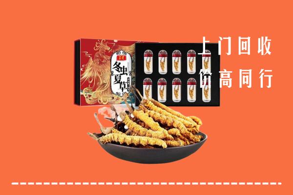 收购行情：保山回收虫草
